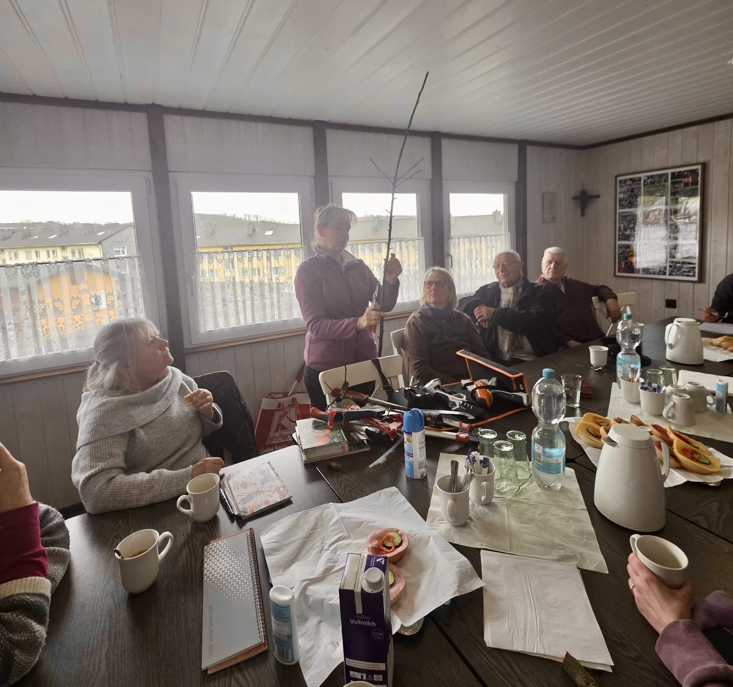 Fachberatung - Obstbaumschnitt Theorie und Praxis 