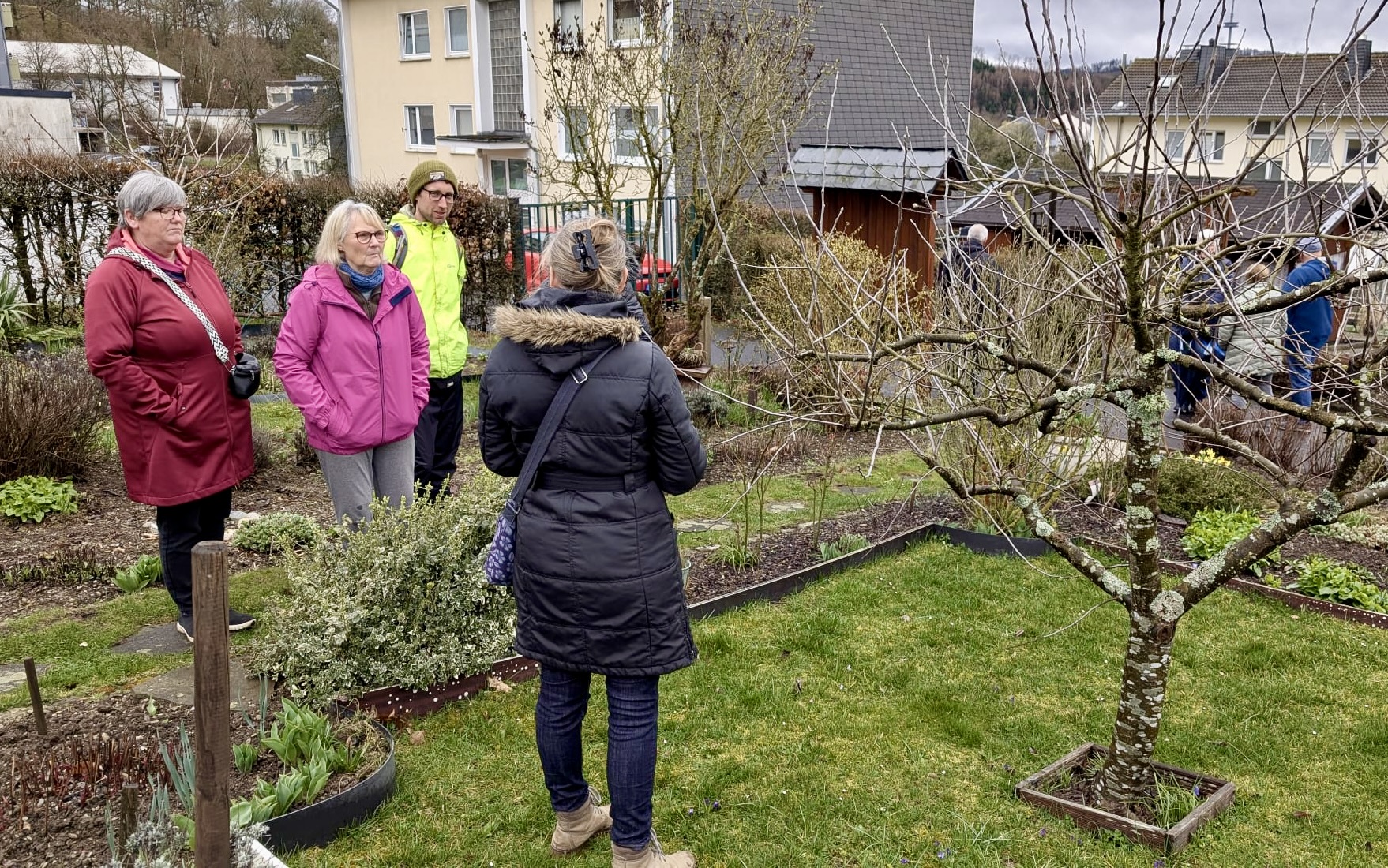 Fachberatung - Obstbaumschnitt Theorie und Praxis 